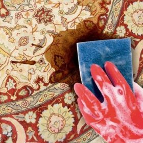 لکه برداری فرش ماشینی2 لکه برداری فرش ماشینی
