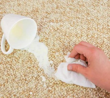 پاک کردن لکه شیر از روی فرش - قالیشویی مرکزی